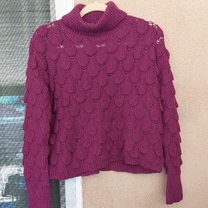 Cotton Emporium Magenta Knit Turtleneck Sweater